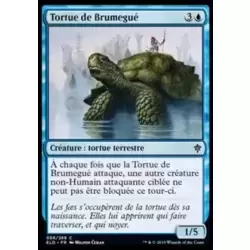 Tortue de Brumegué