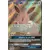 Cartes Promo Black Star Soleil et Lune - Evoli GX