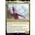 Commander 2019 - Elsha de l\'infini