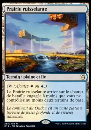 Commander 2019 - Prairie ruisselante