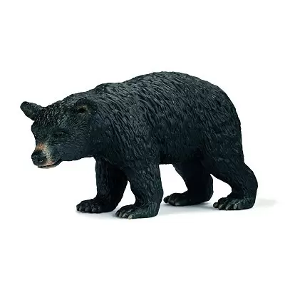 Wild Life - Ours noir