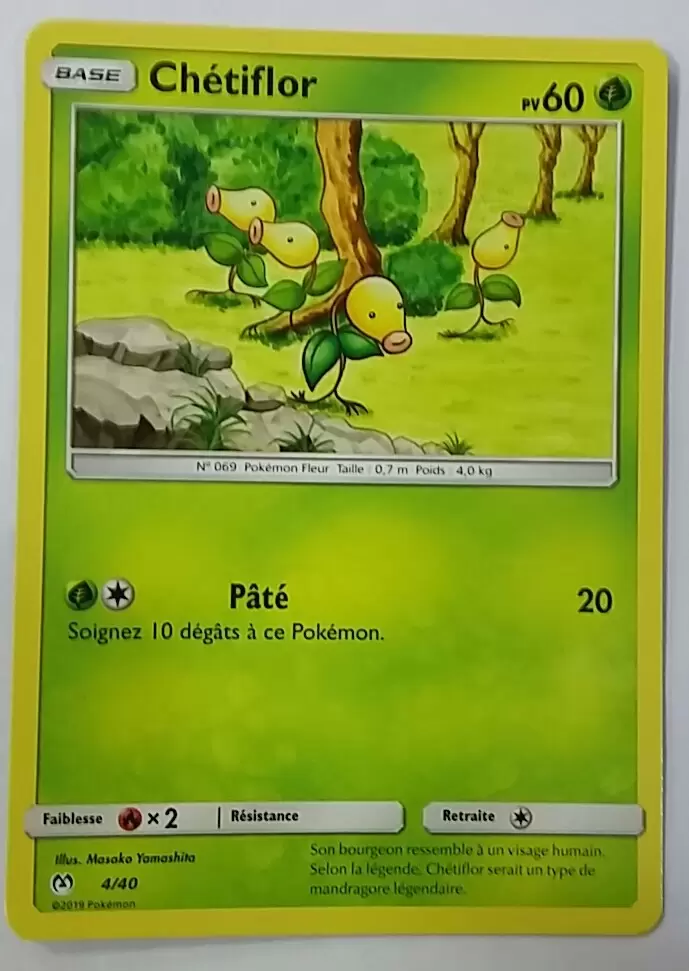 Promo 2019 - Chétiflor