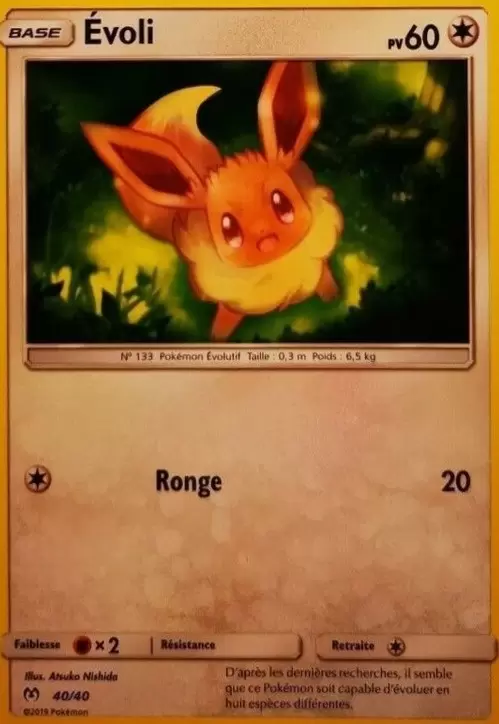 Promo 2019 - Evoli
