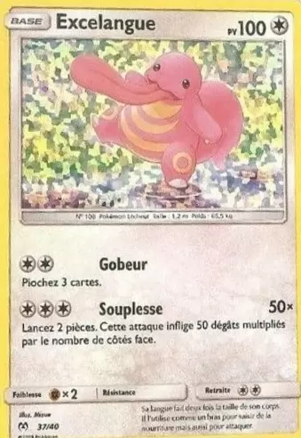 Promo 2019 - Excelangue holographique