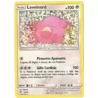 Leveinard holographique