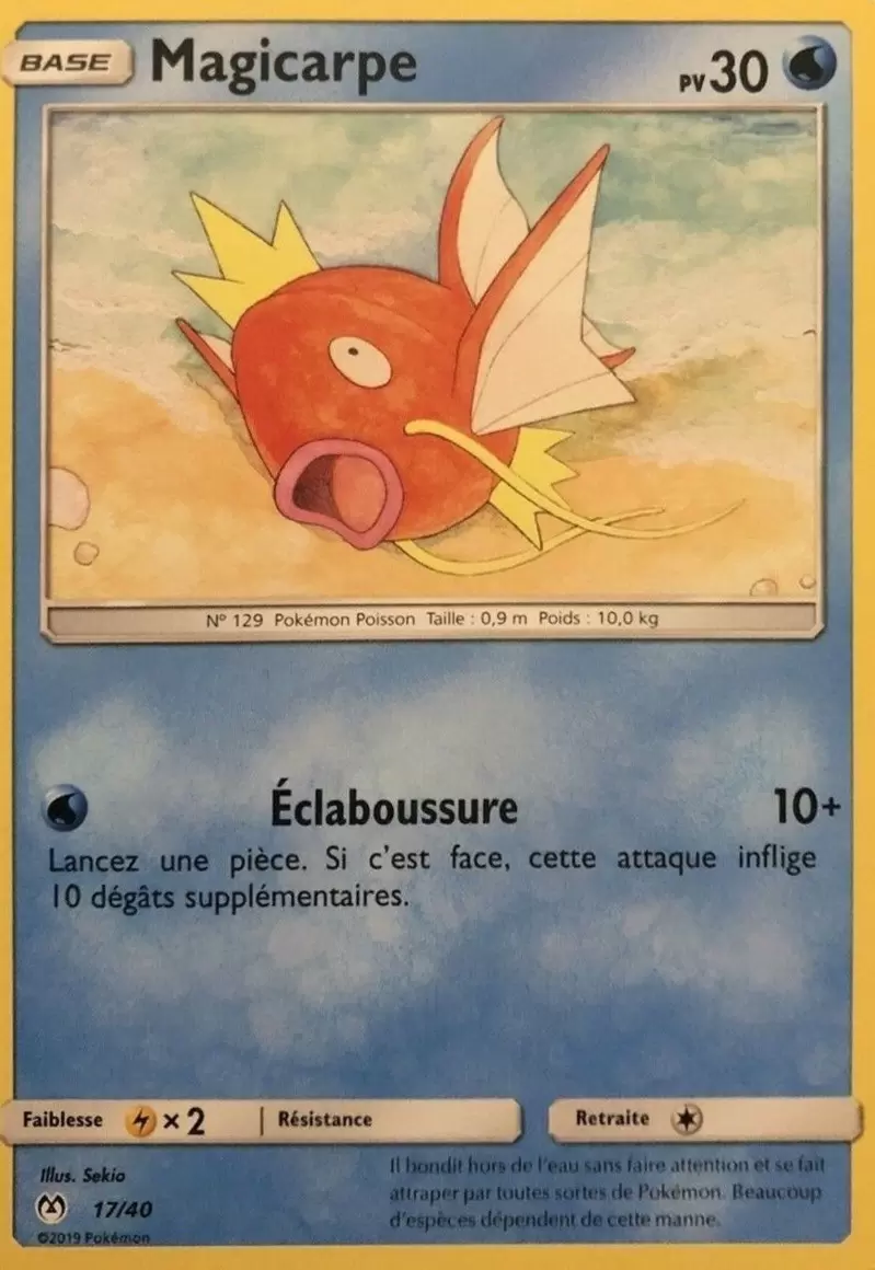 Promo 2019 - Magicarpe