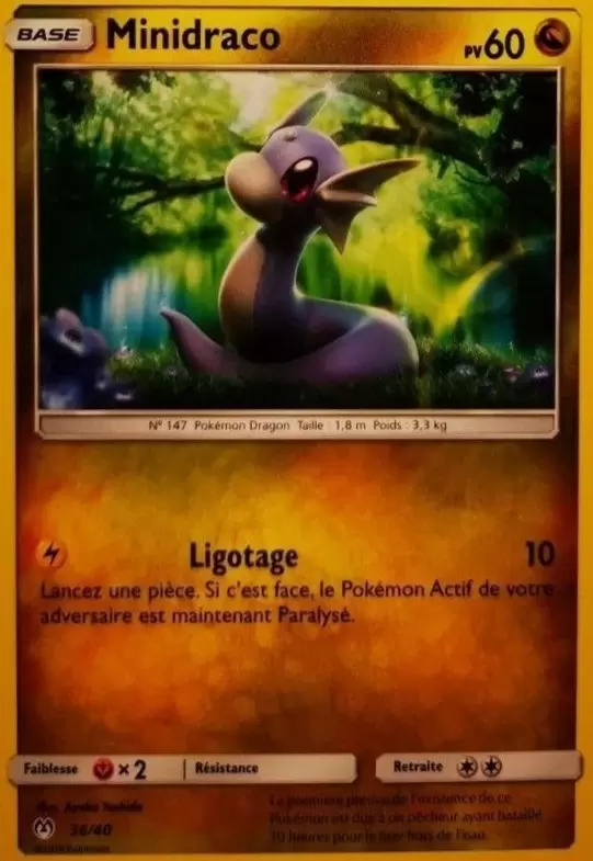 Promo 2019 - Minidraco