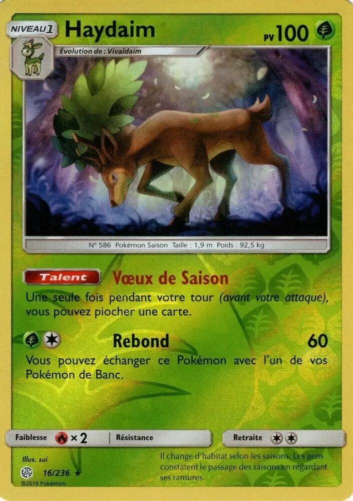 Éclipse Cosmique - Haydaim Reverse