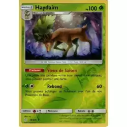 Haydaim Reverse