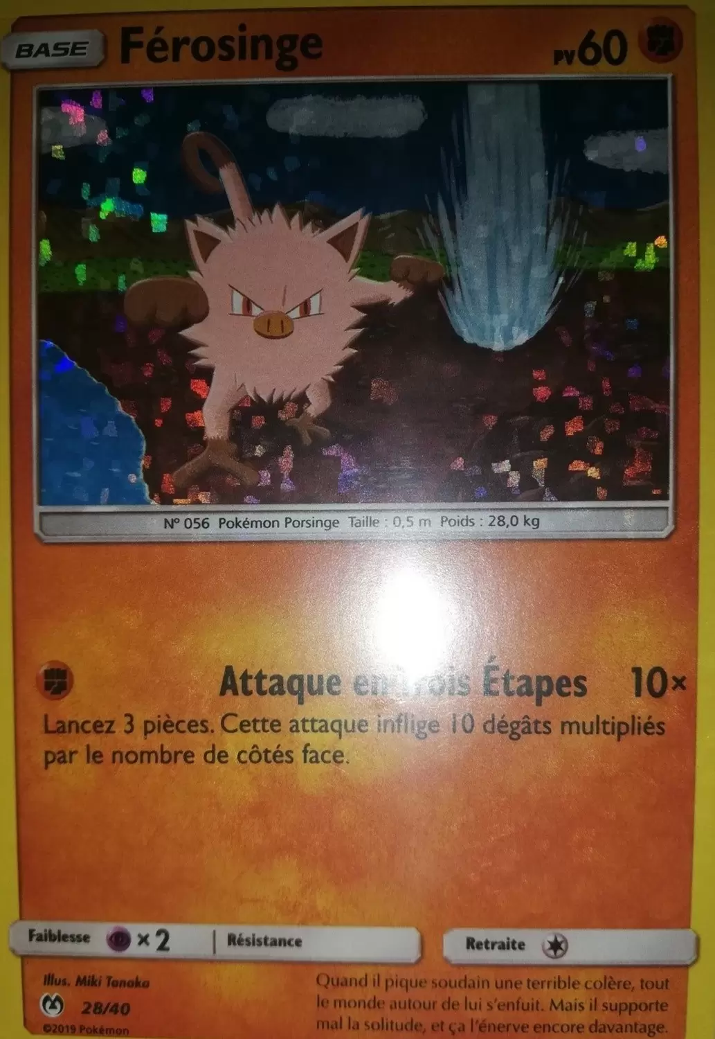 Promo 2019 - Férosinge holographique