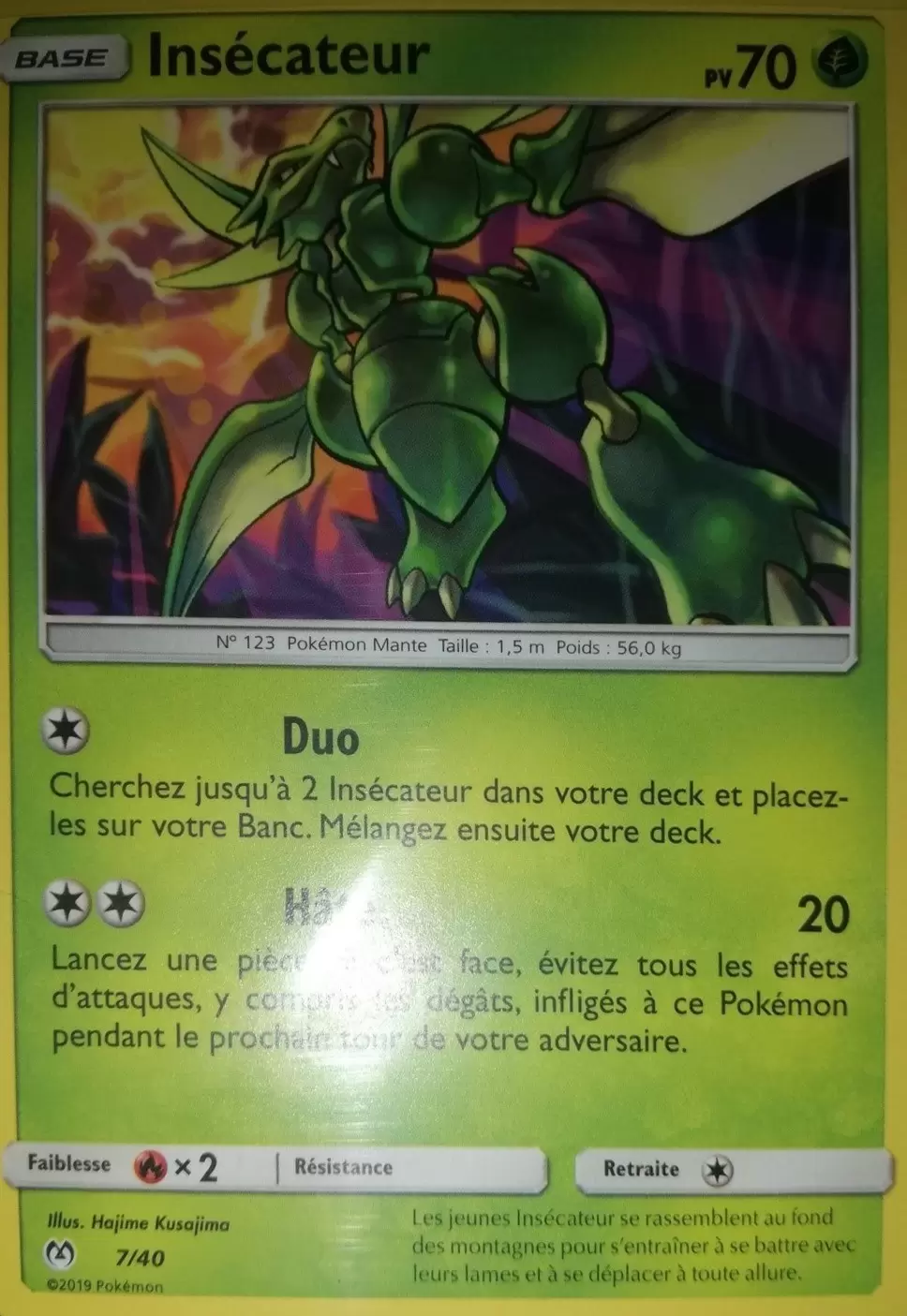 Promo 2019 - Insécateur