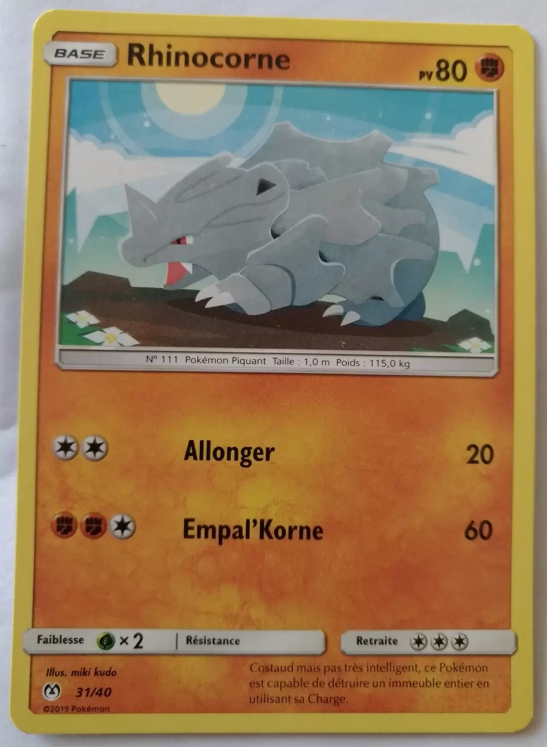 Promo 2019 - Rhinocorne