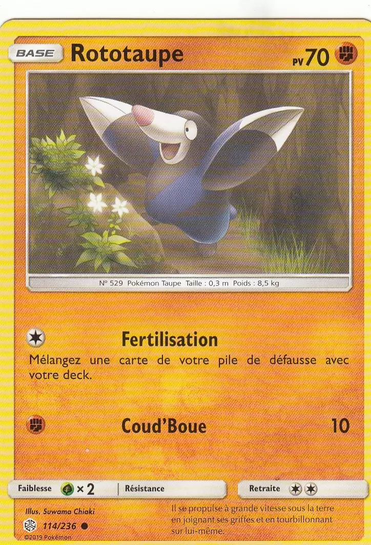 Éclipse Cosmique - Rototaupe