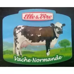 Vache Normande