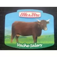 Vache Salers