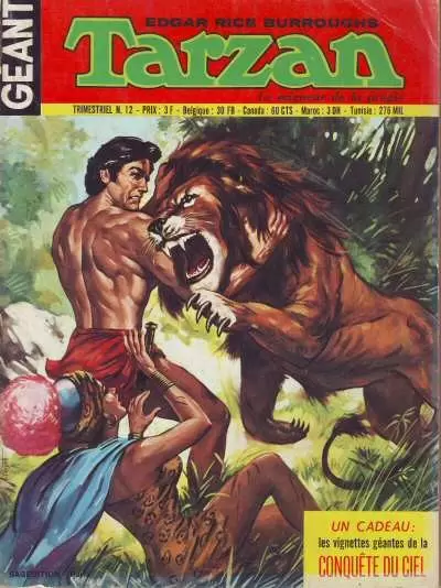 Tarzan Géant - La gemme enchantée
