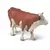Vache simmetal français debout