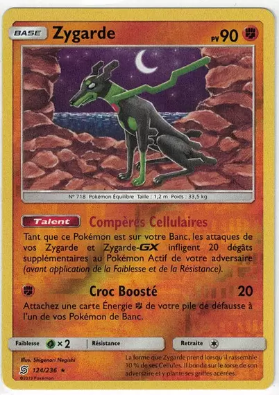 Harmonie des Esprits - Zygarde Reverse