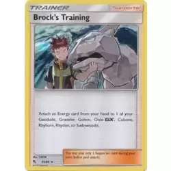 Brock's Training Holo