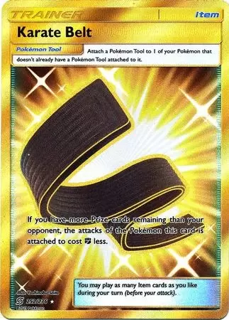Unified Minds - Karate Belt