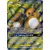 Raichu & Alolan Raichu GX