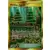 Viridian Forest