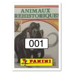 Image n°1