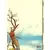 Les tours de Bois-Maury - Babette