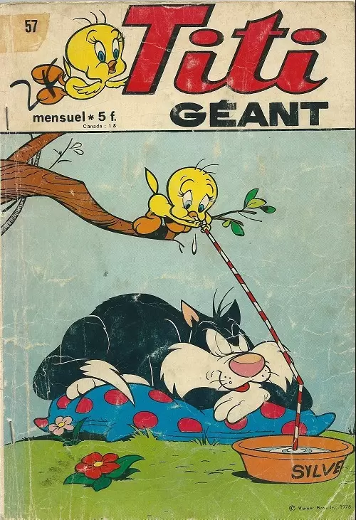 Titi géant - La belle bêta-rodéo...