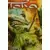 Tora - Les tigres volants - Le premier avertissement