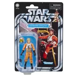Luke Skywalker (X-Wing Pilot)