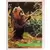 Ewok