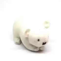 Ours Polaire