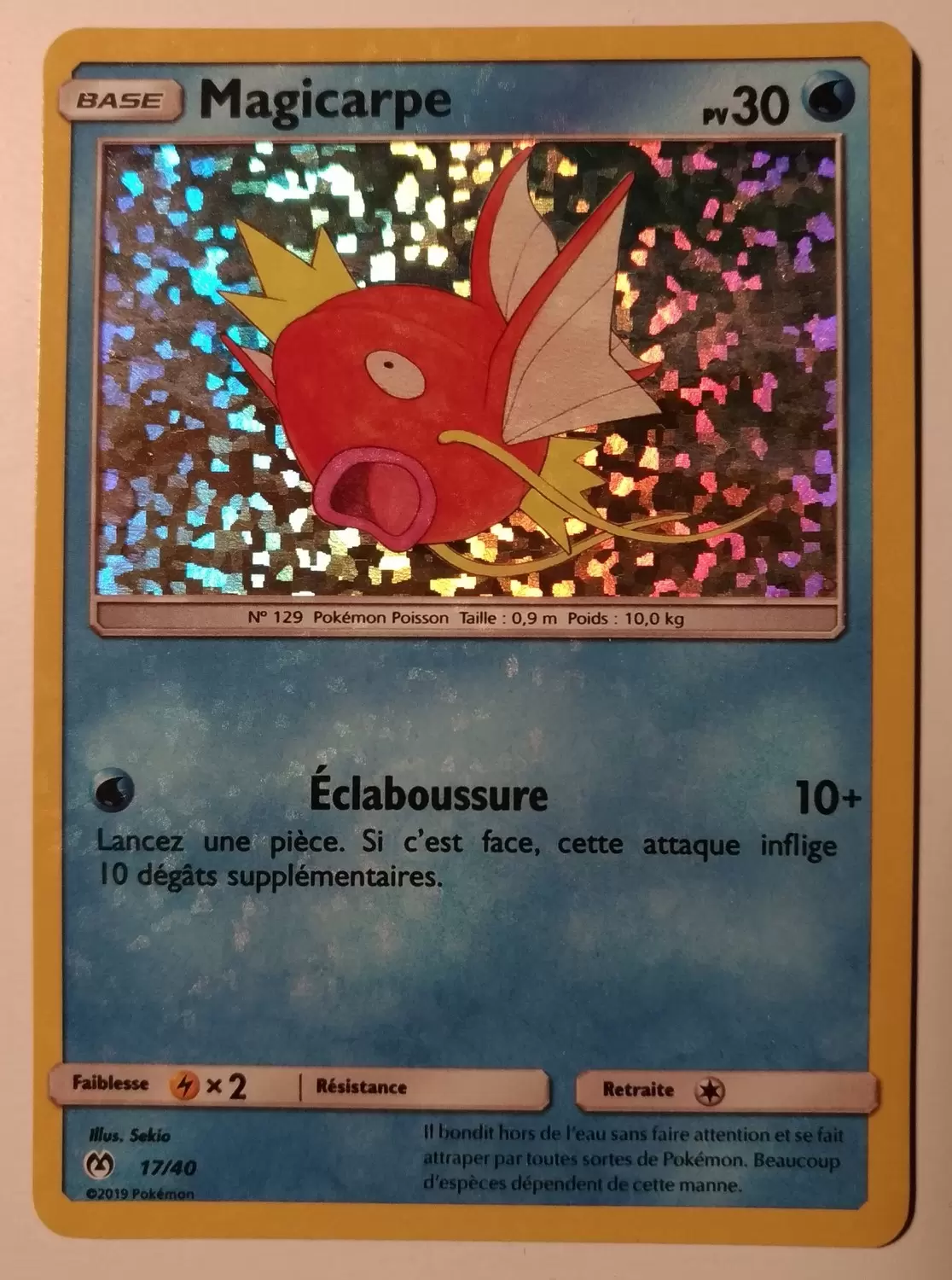 Promo 2019 - Magicarpe holographique