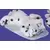 Dalmatien qui dort