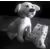 Happy Meal - Peluches 102 Dalmatiens 2000 - Dalmatienne