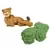 Le Capybara + Le Papa Puma + L'Acacia