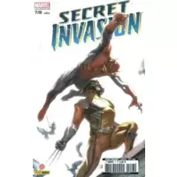 Secret invasion (7/8)