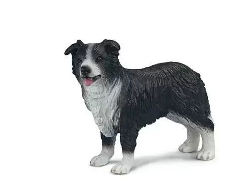 Farm World - Border collie