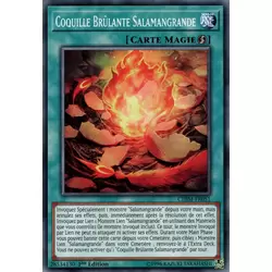 Coquille Brûlante Salamangrande