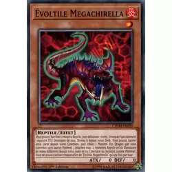 Évoltile Megachirella