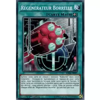 Régénérateur Borrelle