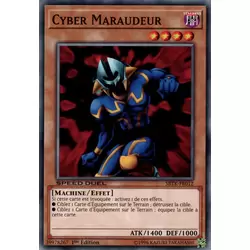 Cyber Maraudeur