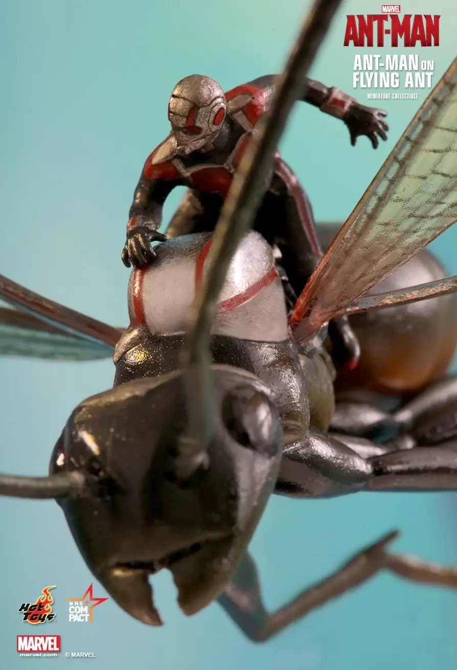 MMS Compact (Movie MasterPiece Compact) - Ant-Man - Ant-Man on Flying Ant