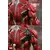 QS - Quarter Scale Series - Avengers: Age of Ultron - Mark XLV
