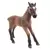 Horse Club - Poulain camarguais