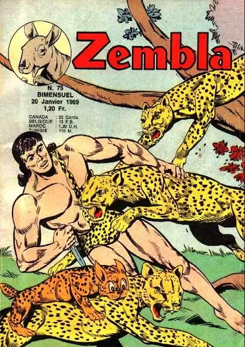 Zembla - Le colonel Husswald