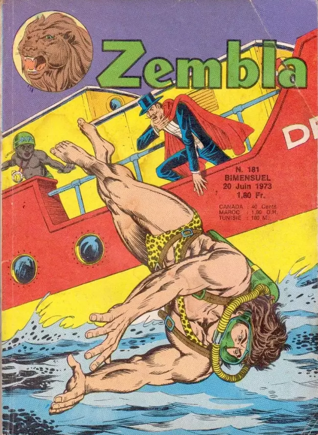 Zembla - Les chemins de l\'espérance