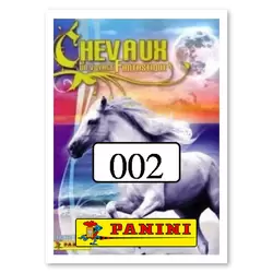 Image n°2
