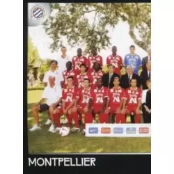 Équipe (puzzle 1) - Montpellier